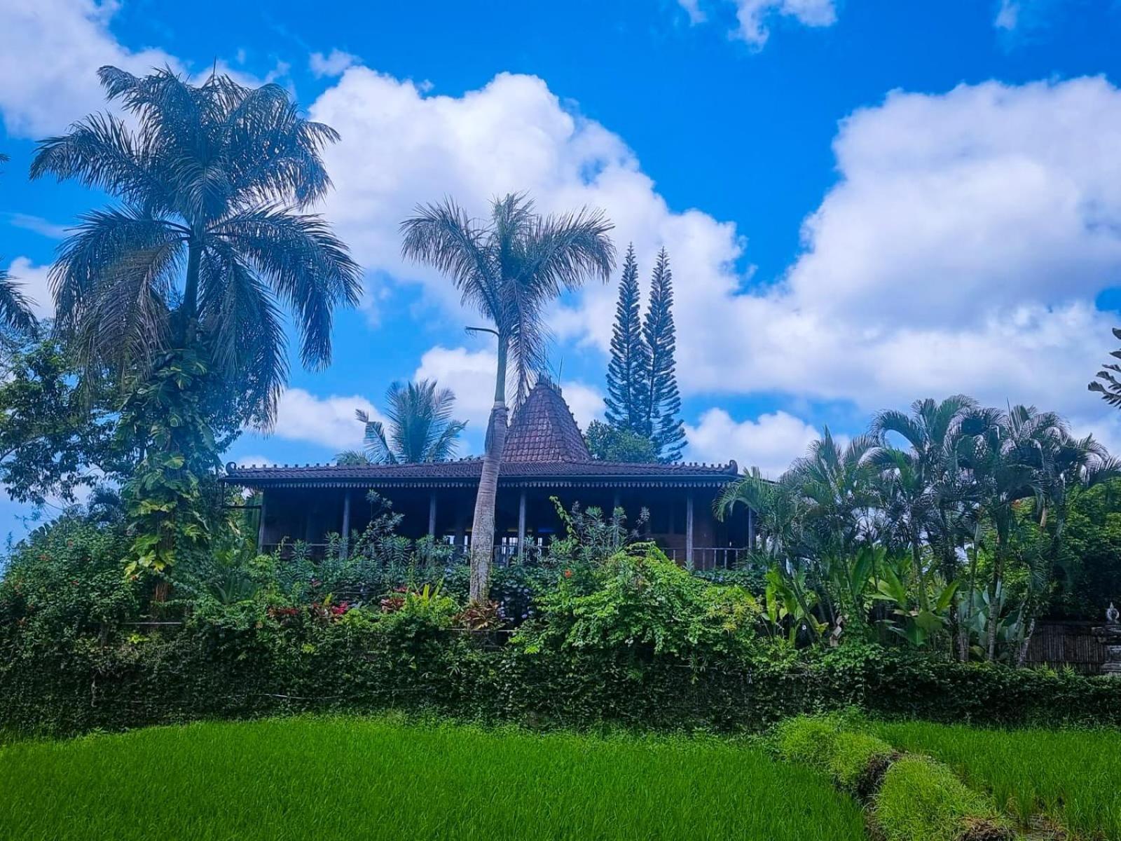 Ayu Dira Heritage House 우붓 외부 사진